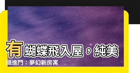 蝴蝶飛入家中|蝴蝶飛入家中有何玄機